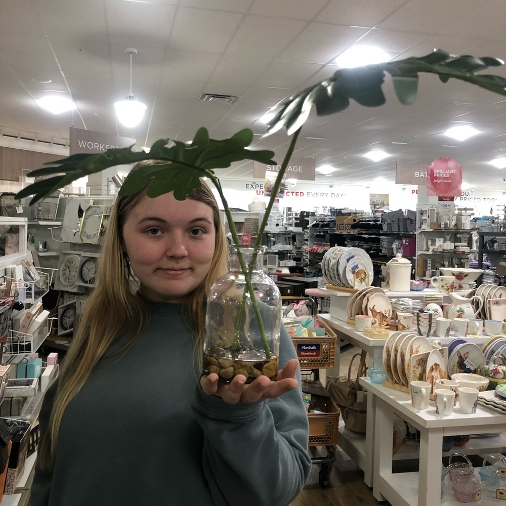 Meet your Posher, Lainey